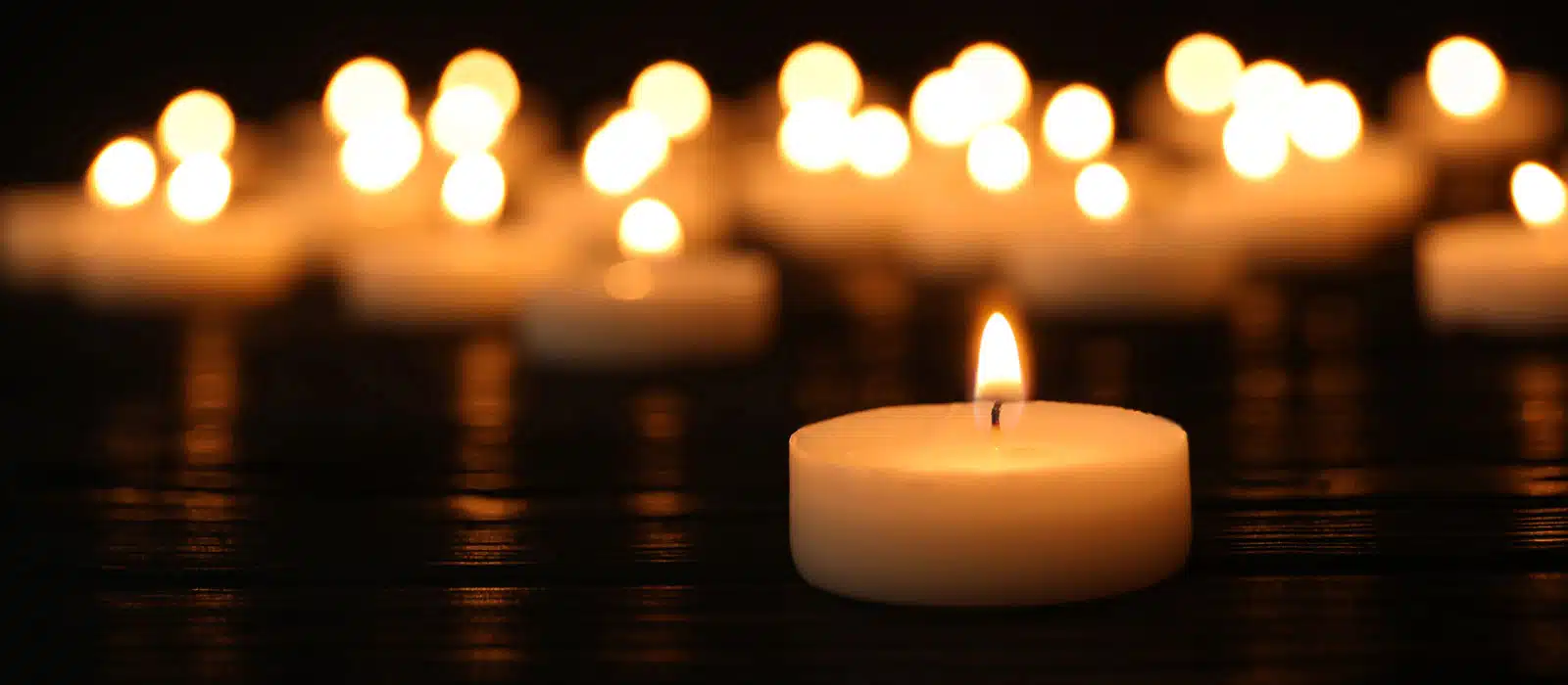 Blog Onoranze Funebri San Lazzaro Vicenza